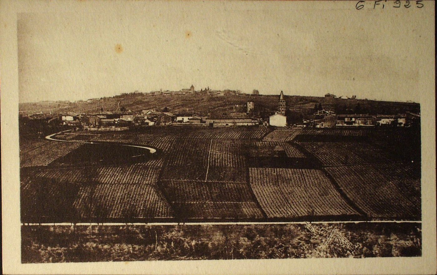 Environs de Mâcon-Chânes. Ses vignobles. Les vignes à Chânes sont exposées à l'est, sud-est, et sud ; elles produisent un vin rouge assez estimé, de goût agréable, belle couleur, d'une durée de 10 à 15 ans.