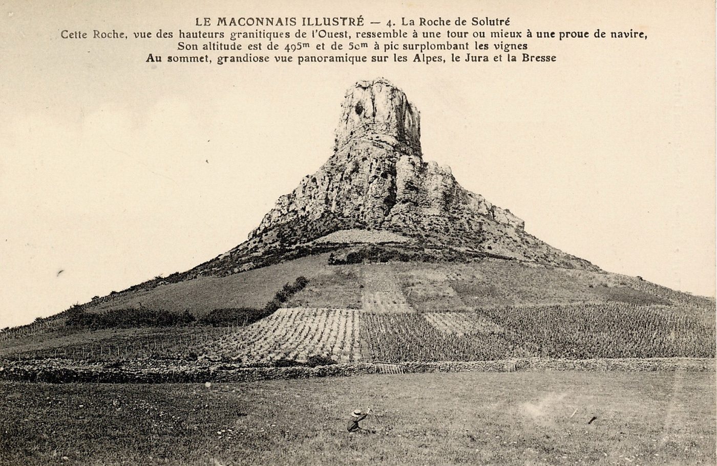 La roche de Solutré. Cette roche, vue des hauteurs granitiques de l'Ouest, ressemble à une tour ou mieux à une proue de navire, son altitude est de 495 m et de 50 m à pic surplombant les vignes. Au sommet, grandiose vue panoramique sur les Alpes, le Jura et la Bresse.