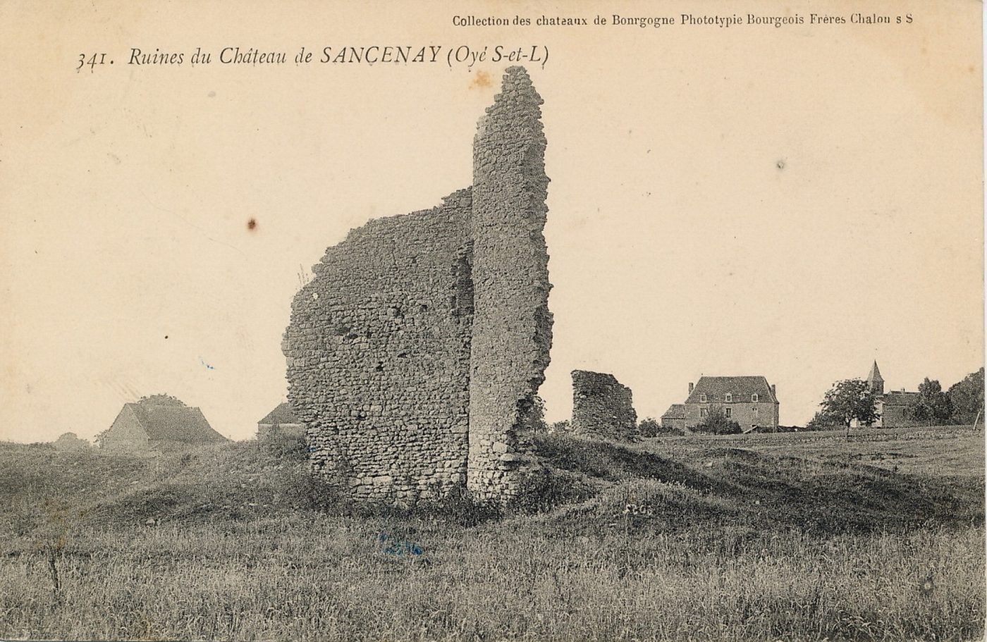 Ruines du château de Sancenay, Oyé.