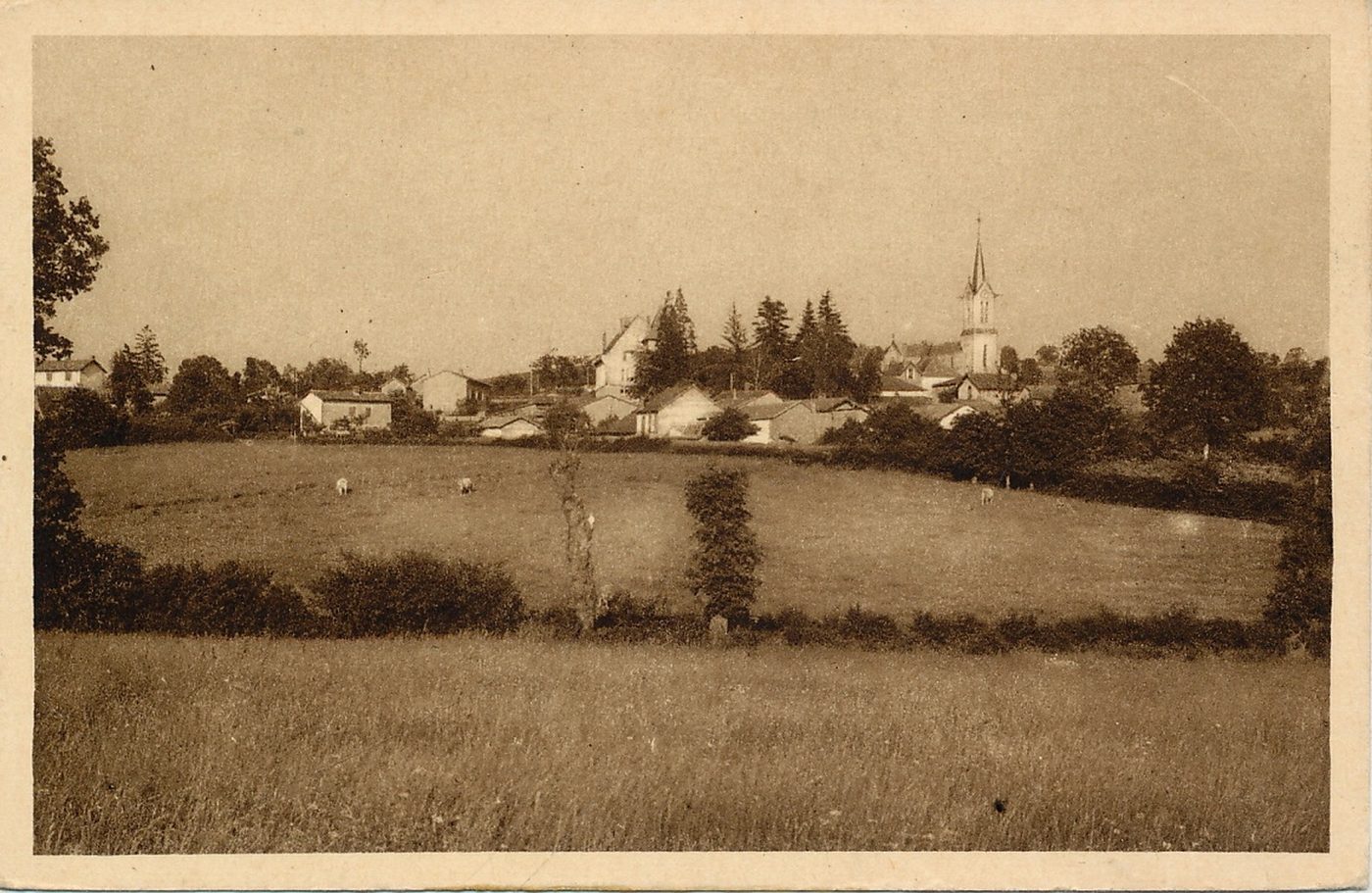 Saint-Igny-de-Roche. Vue générale.