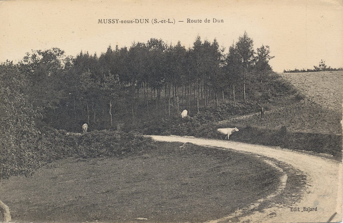 Mussy-sous-Dun. Route de Dun.