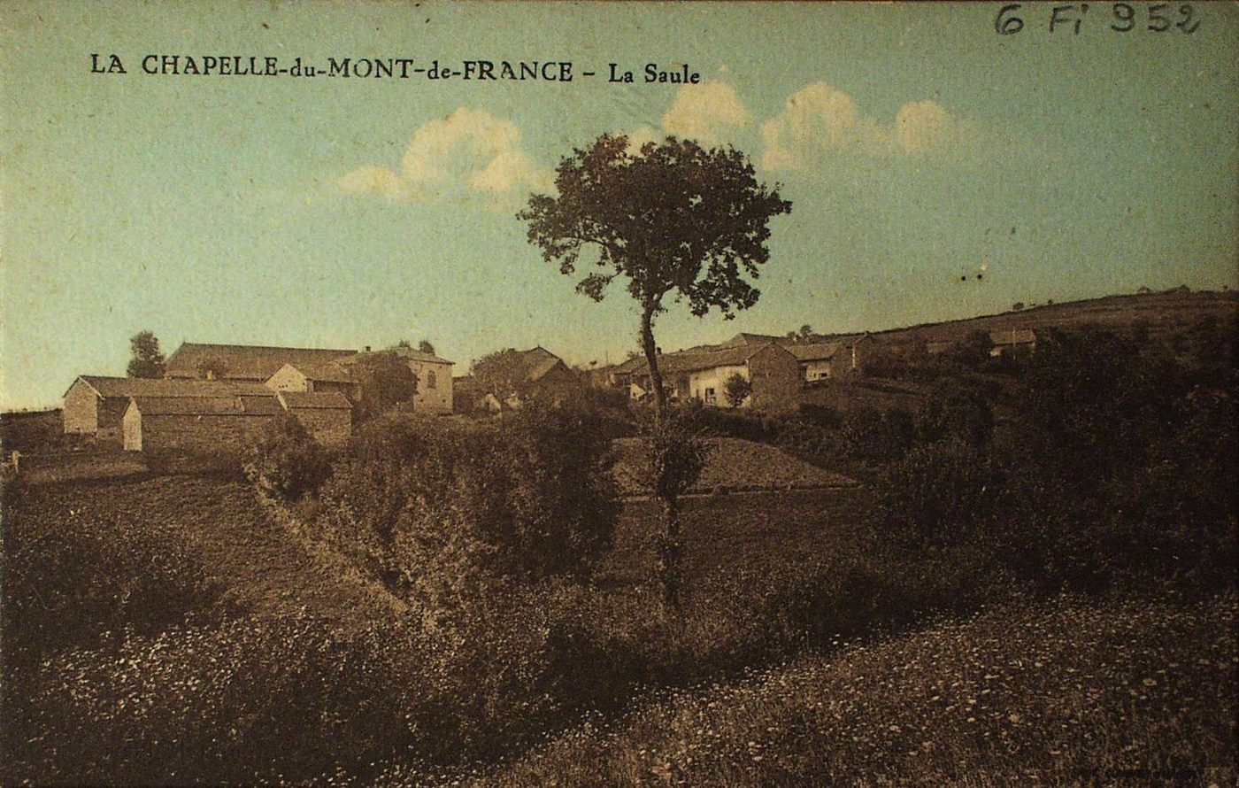 La Chapelle-du-Mont-de-France. La Saule.