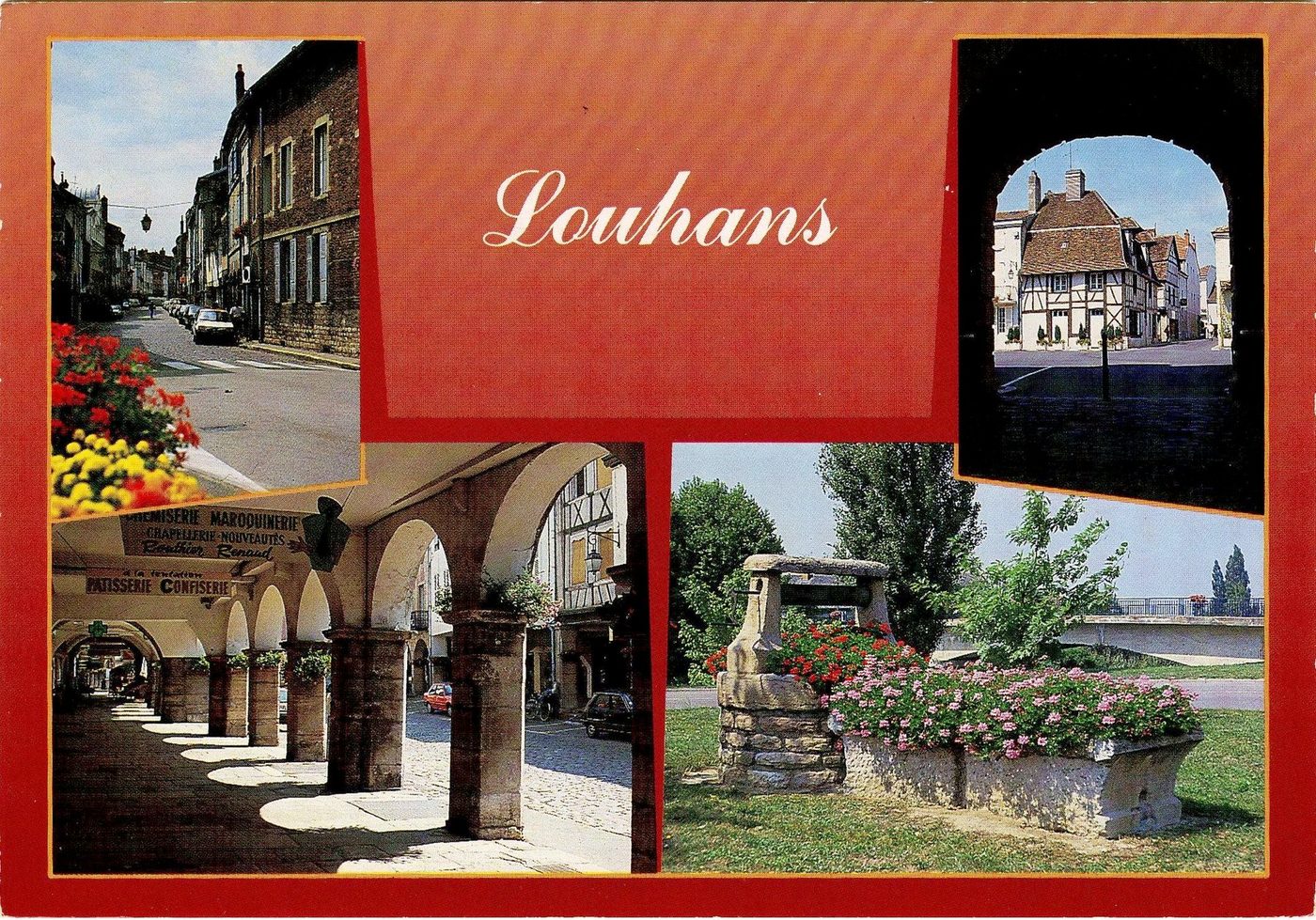 Louhans.- Cité médiévale de la "Bresse Louhannaise". Ville touristique réputée pour sa gastronomie. Spécialités bressanes : volaille de réputation mondiale. Connue pour ses arcades et façades du XVe s. qui bordent la grande rue. L'hôtel Dieu de Louhans et sa vieille apothicairerie où l'on peut découvrir des pièces exceptionnelles, céramiques françaises du XVIe s. Chevrettes et Albareli de types Hispano et Italo-Mauresque. L'église Saint-Pierre (XIIIe s.), de style gothique, modifiée au XVe s. par les seigneurs de Ratte (village voisin). Magnifique toiture et son clocher en tuiles polychromes.