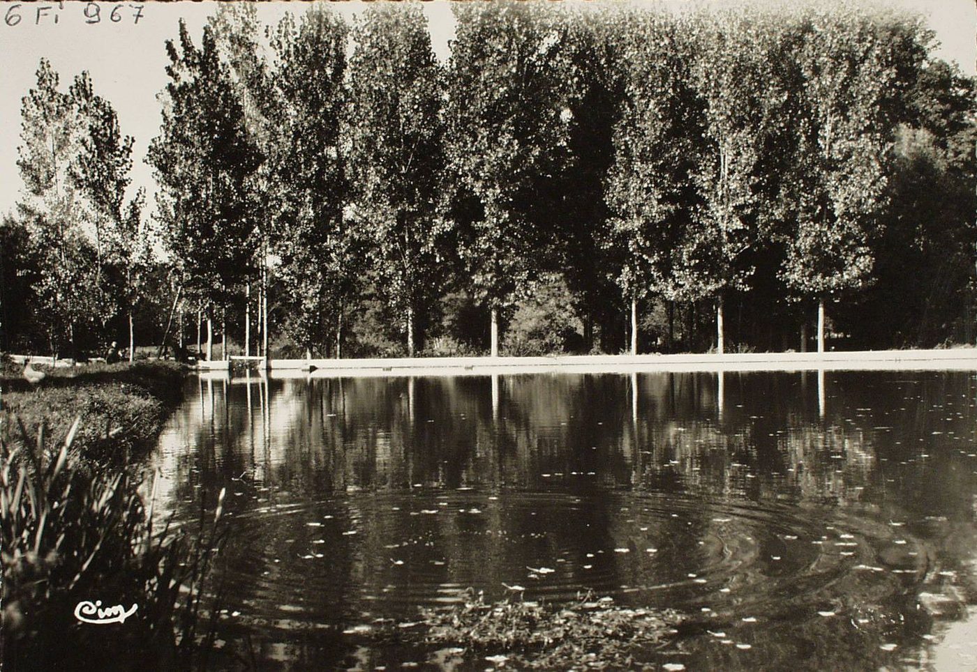 La Chapelle-Saint-Sauveur. Le lac.