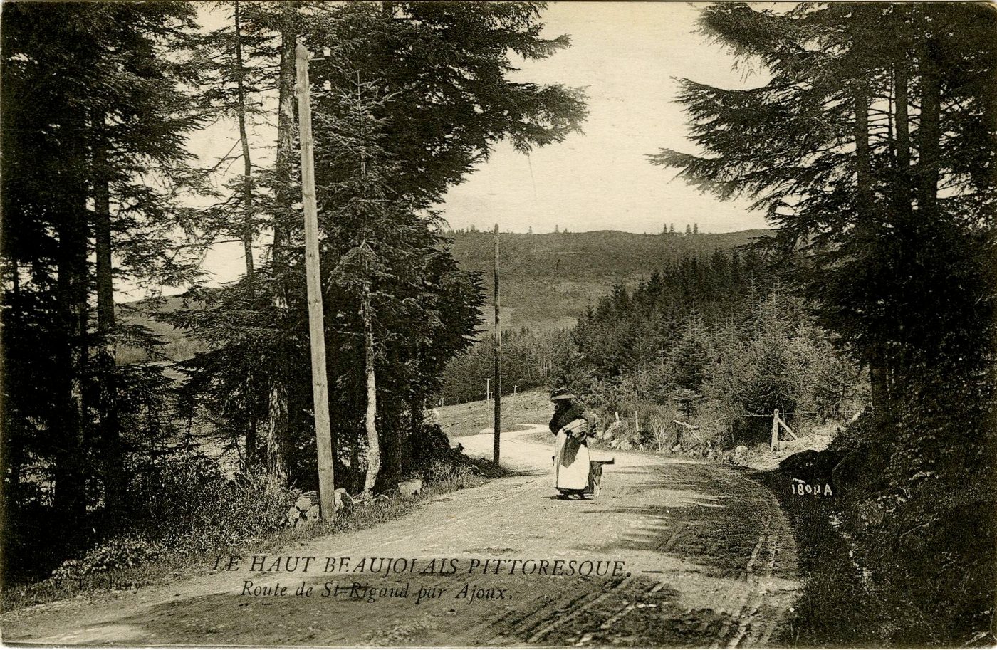 Le Haut Beaujolais pittoresque. Route de Saint-Rigaud par Ajoux.
