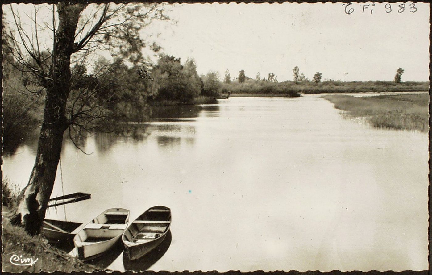 Charette. Les Mortes. Au fonds le Doubs.
