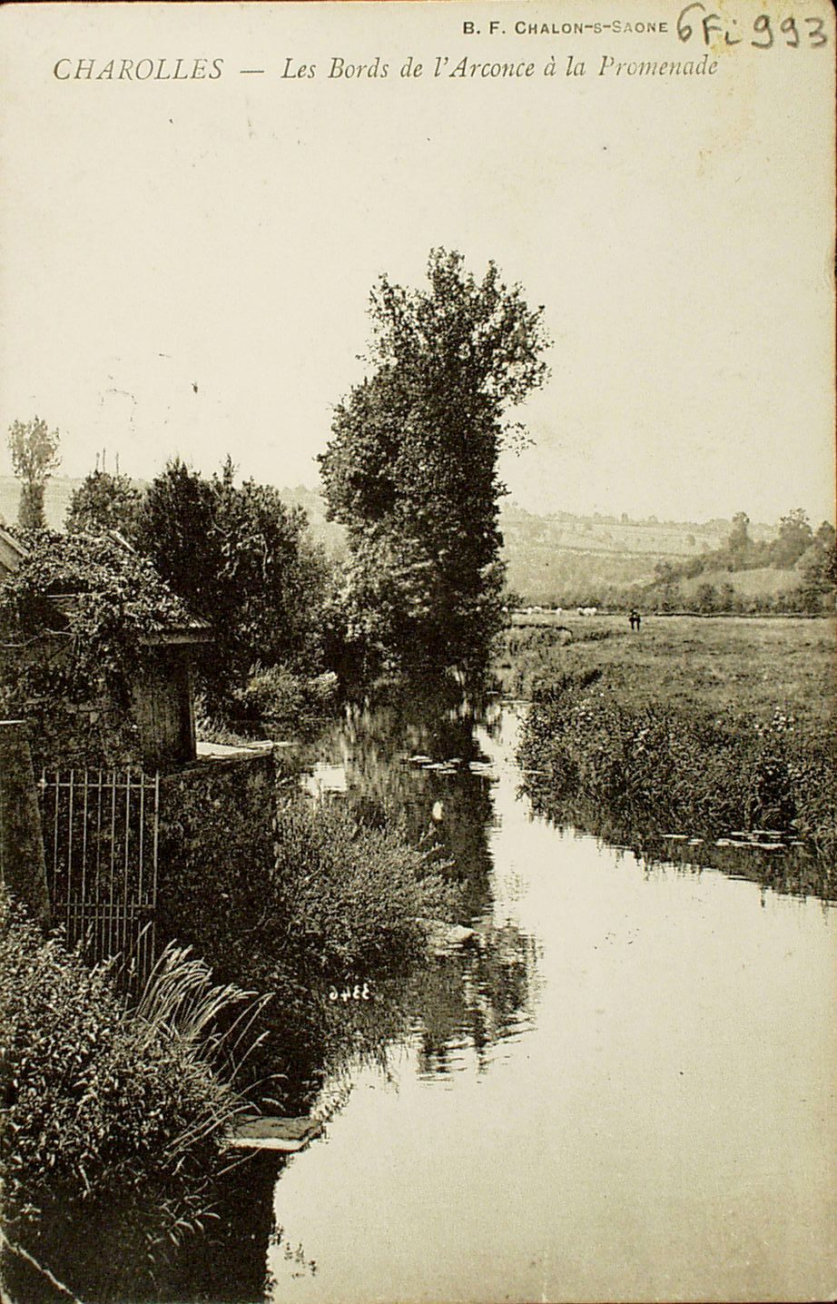 Charolles. Les bords de l'Arconce à la promenade.