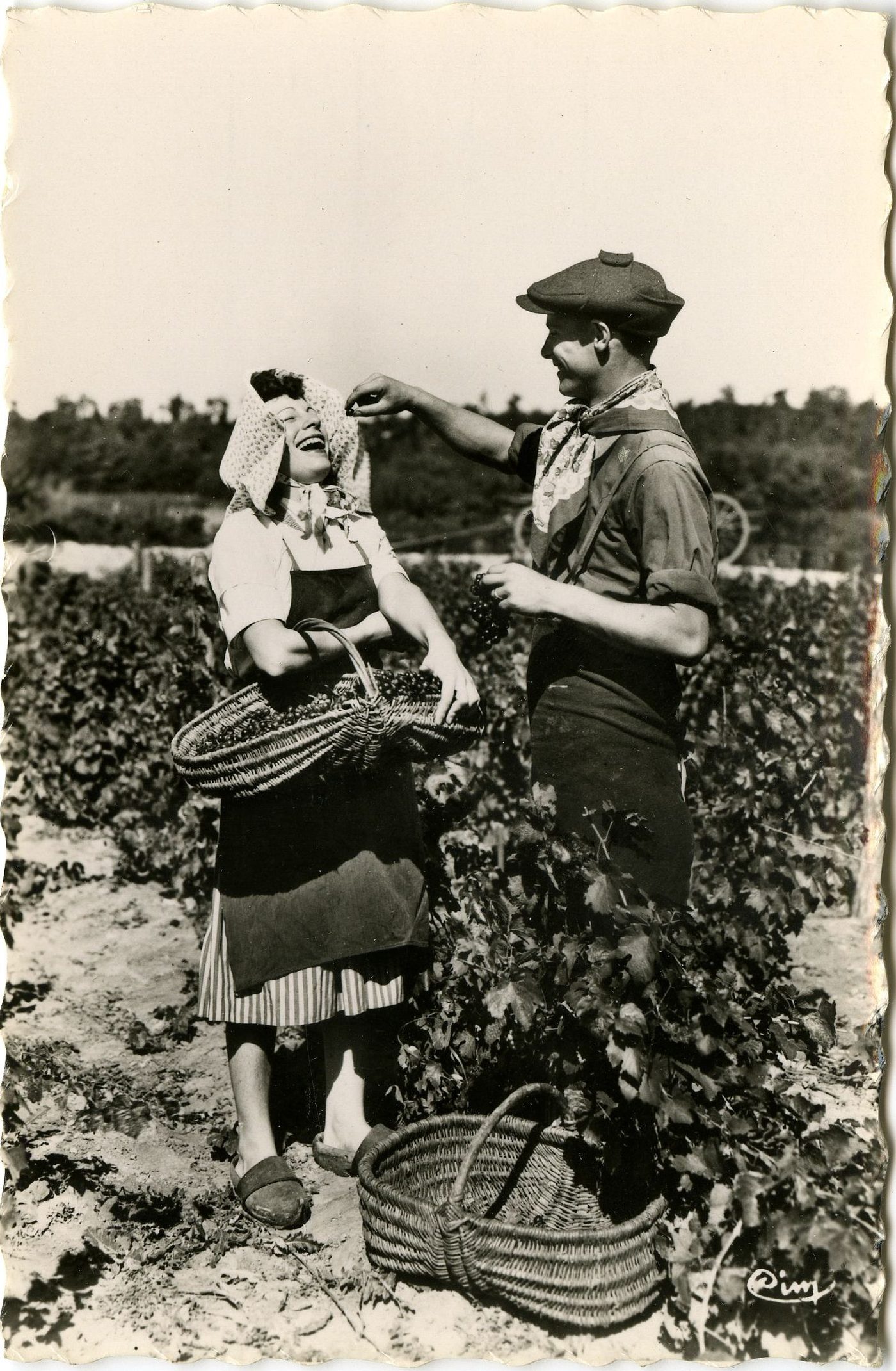 Tournus. Scènes de vendanges.- Ils sont dans les vignes les moineaux... et se donnent la becquée. Pieds nus dans ses sabots, protégée par son tablier, coiffée de la capeline, s'apprête à engloutir la becquée de raisins que lui tend, selon la coutume, son charmant compagnon.