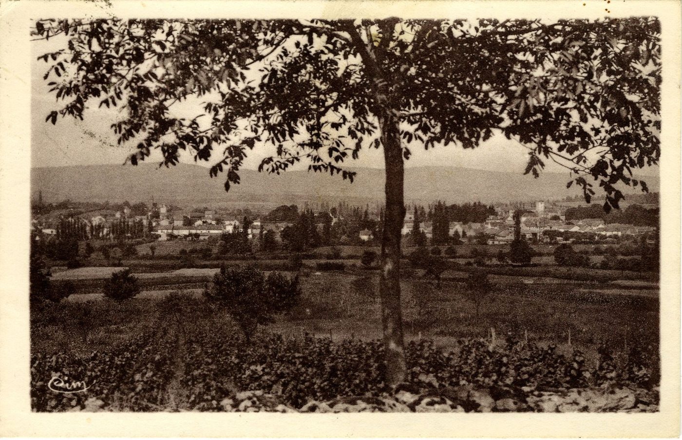 Salornay-sur-Guye. Vue générale.