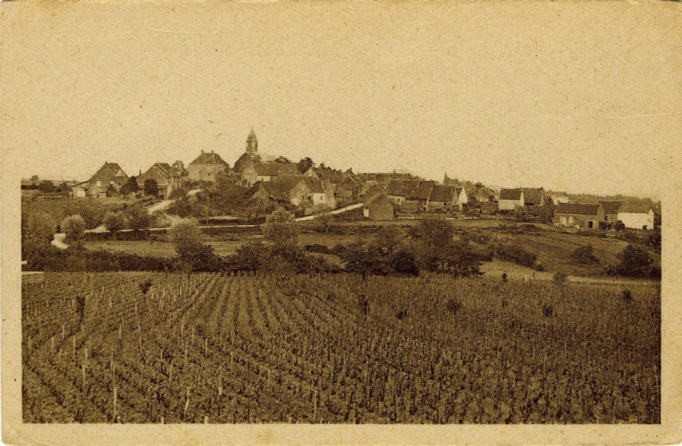 Saules. Vue générale.