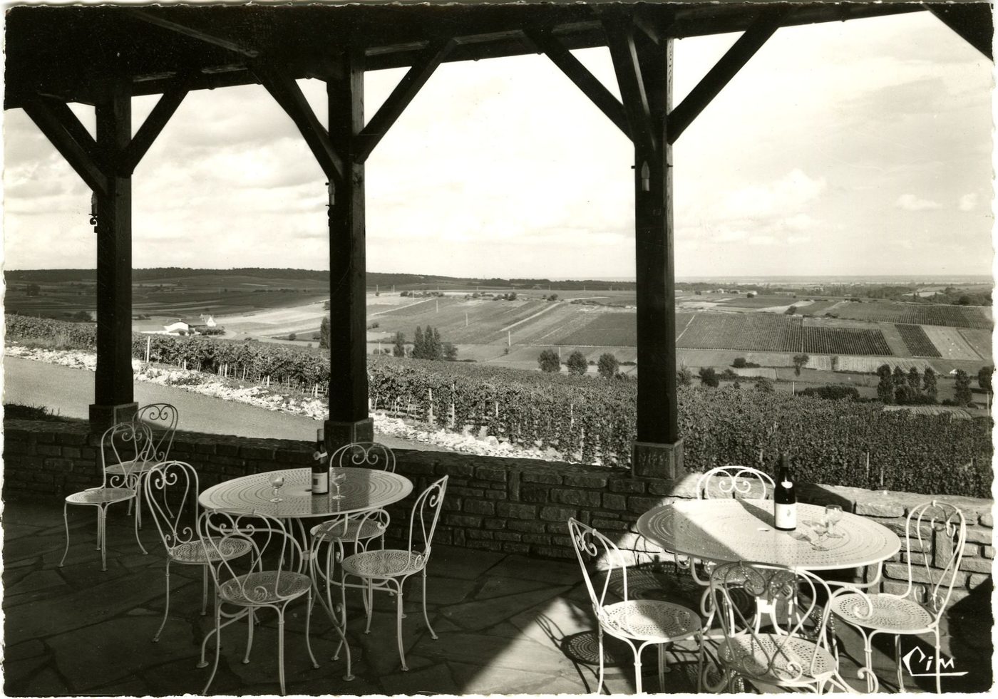 Lugny. Caveau Saint-Pierre. Vue panoramique du vignoble que l'on découvre de la terrasse.