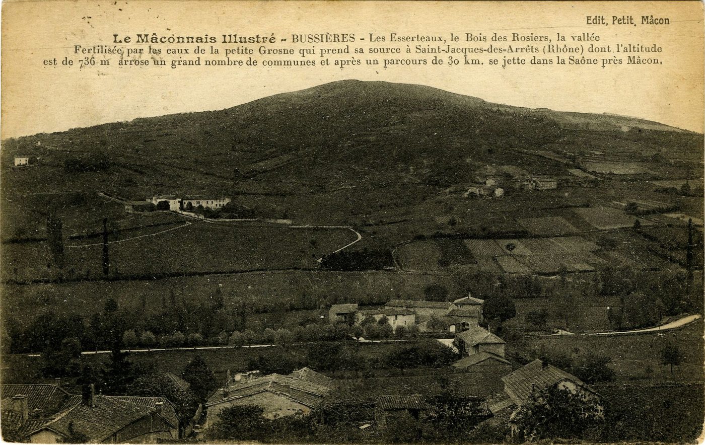 Le Mâconnais illustré, Bussières.- Les Esserteaux, le bois des Rosiers, la vallée. Fertilisée, par les eaux de la petite Grosne qui prend sa source à Saint-Jacques-des-Arrêts (Rhône) dont l'altitude est de 736 m arrose un grand nombre de communes et après un parcours de 30 km se jette dans la Saône près Mâcon.