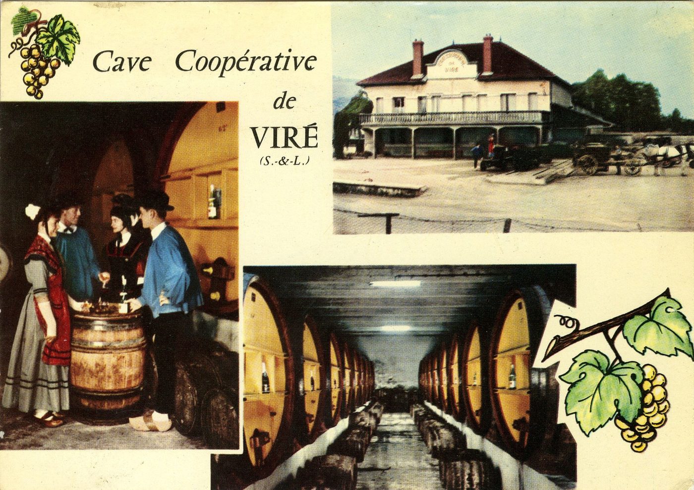 Cave coopérative de Viré.