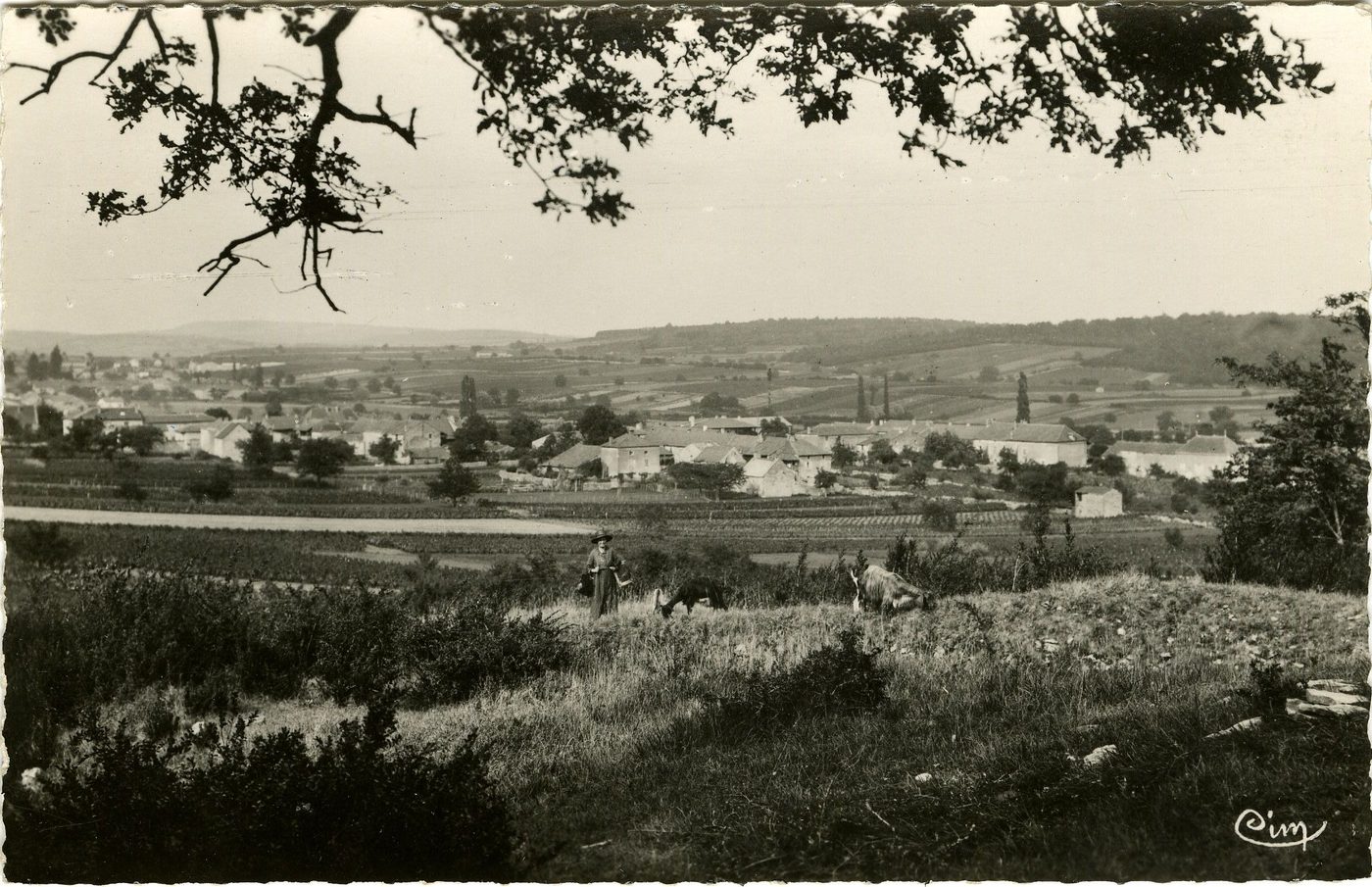 Saint-Gengoux-de-Scissé. Hameau de Bassy. Vue générale.