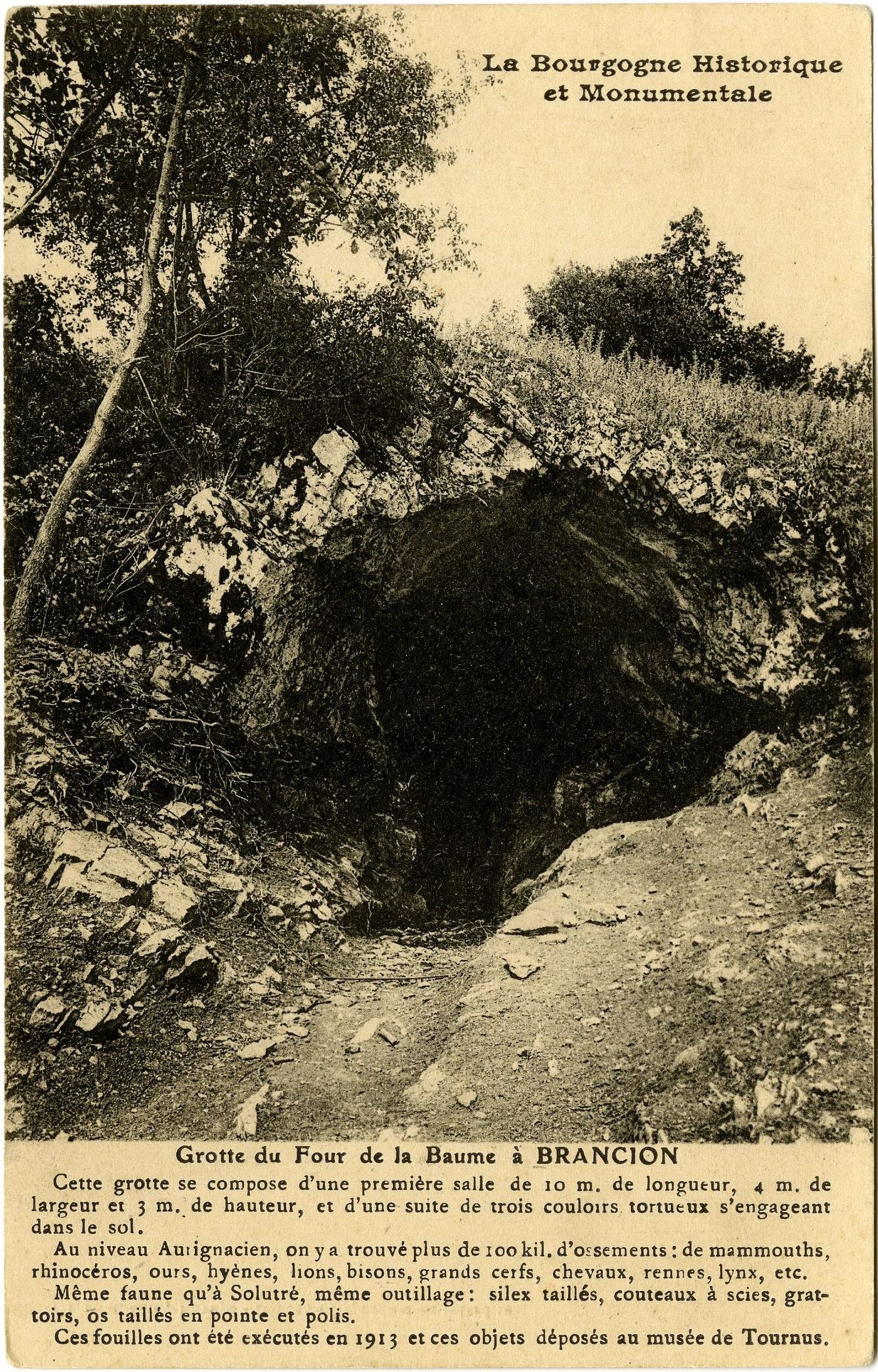 La Bourgogne historique et monumentale. Grotte du four de la Baume à Brancion. Cette grotte se compose d'une première salle de 10 m. de longueur, 4 m de largeur et 3 m de hauteur, et d'une suite de trois couloirs tortueux s'engageant dans le sol. Au niveau Aurignacien, on y a trouvé plus de 100 kil. d'ossements : de mammouths, rhinocéros, ours, hyènes, lions, bisons, grands cerfs, chevaux, rennes, lynx, etc. Même faune qu'à Solutré, même outillage : silex taillés, couteaux à scies, grattoirs, os taillé en pointe et polis. Ces fouilles ont été exécutés en 1913 et ces objets déposés au musée de Tournus.