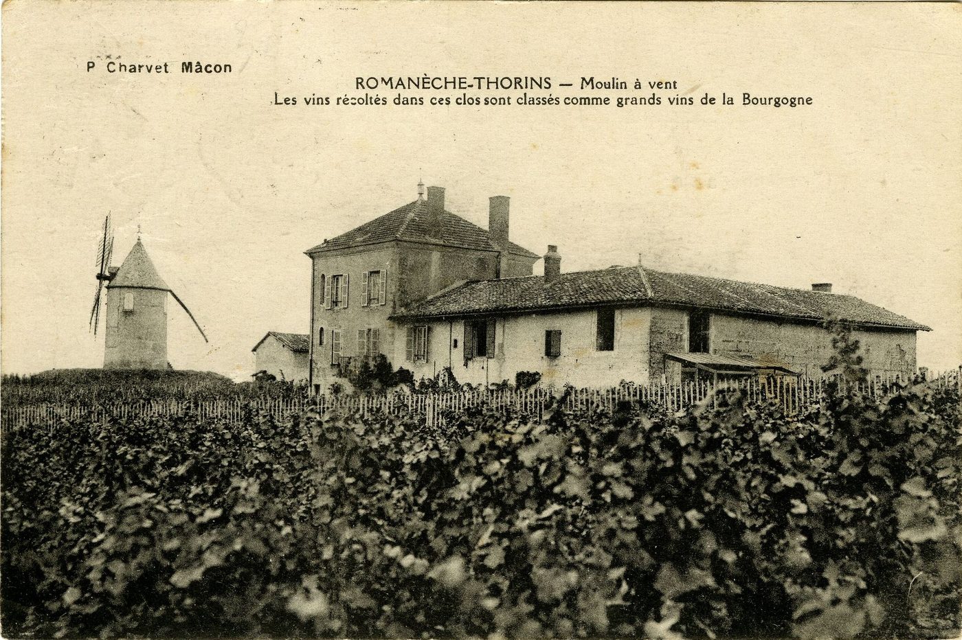 Romanèche-Thorins. Moulins à vent. Les vins récoltés dans ces clos sont classés comme grands vins de la Bourgogne.