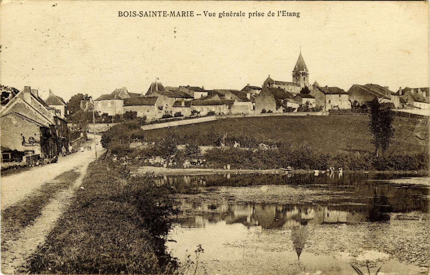 Bois-Sainte-Marie. Vue générale de l'étang.