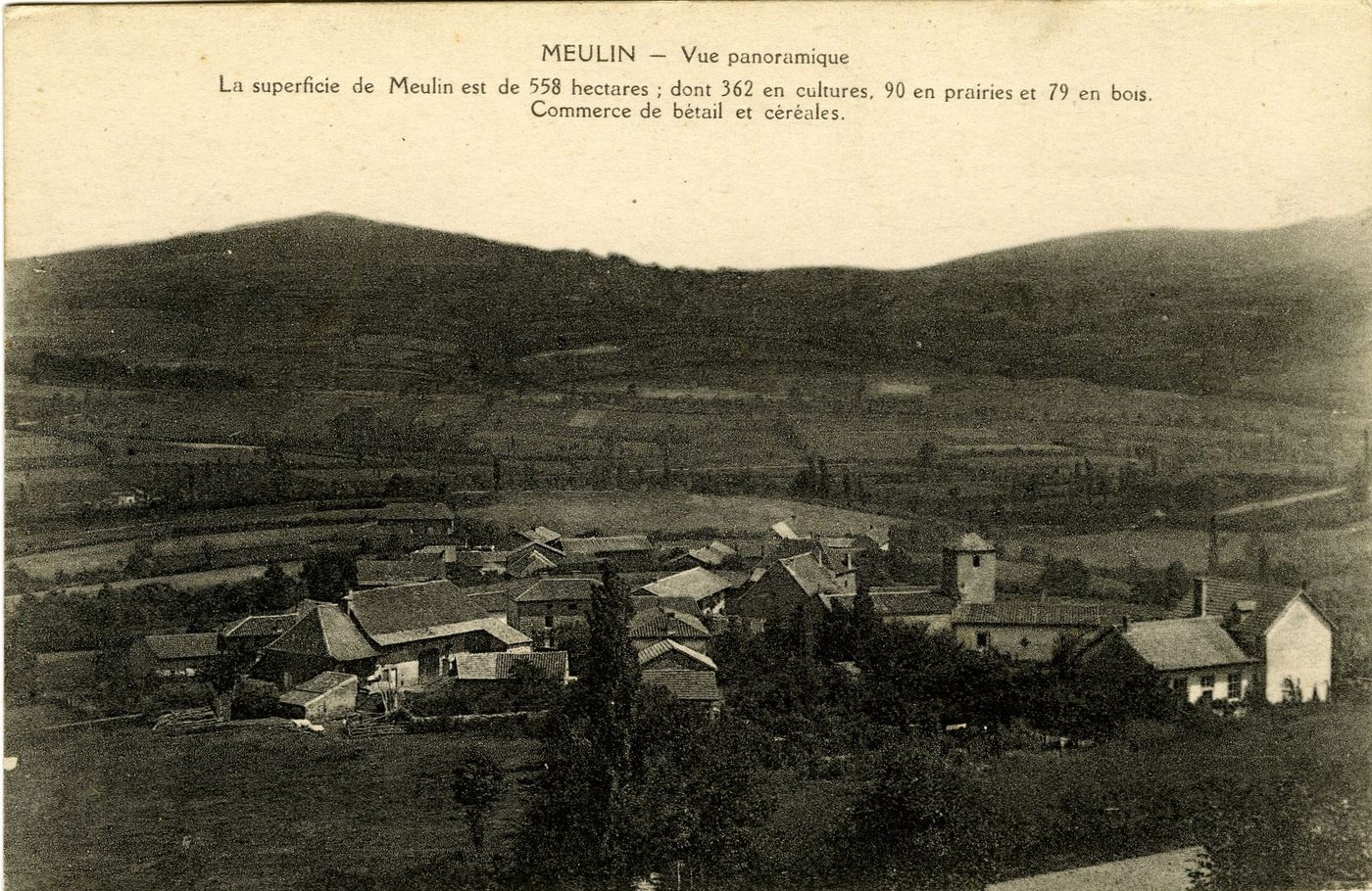 Meulin. Vue panoramique. La superficie de Meulin est de 558 hectares : dont 362 en cultures. 90 en prairies et 79 en bois. Commerce de bétail et céréales.