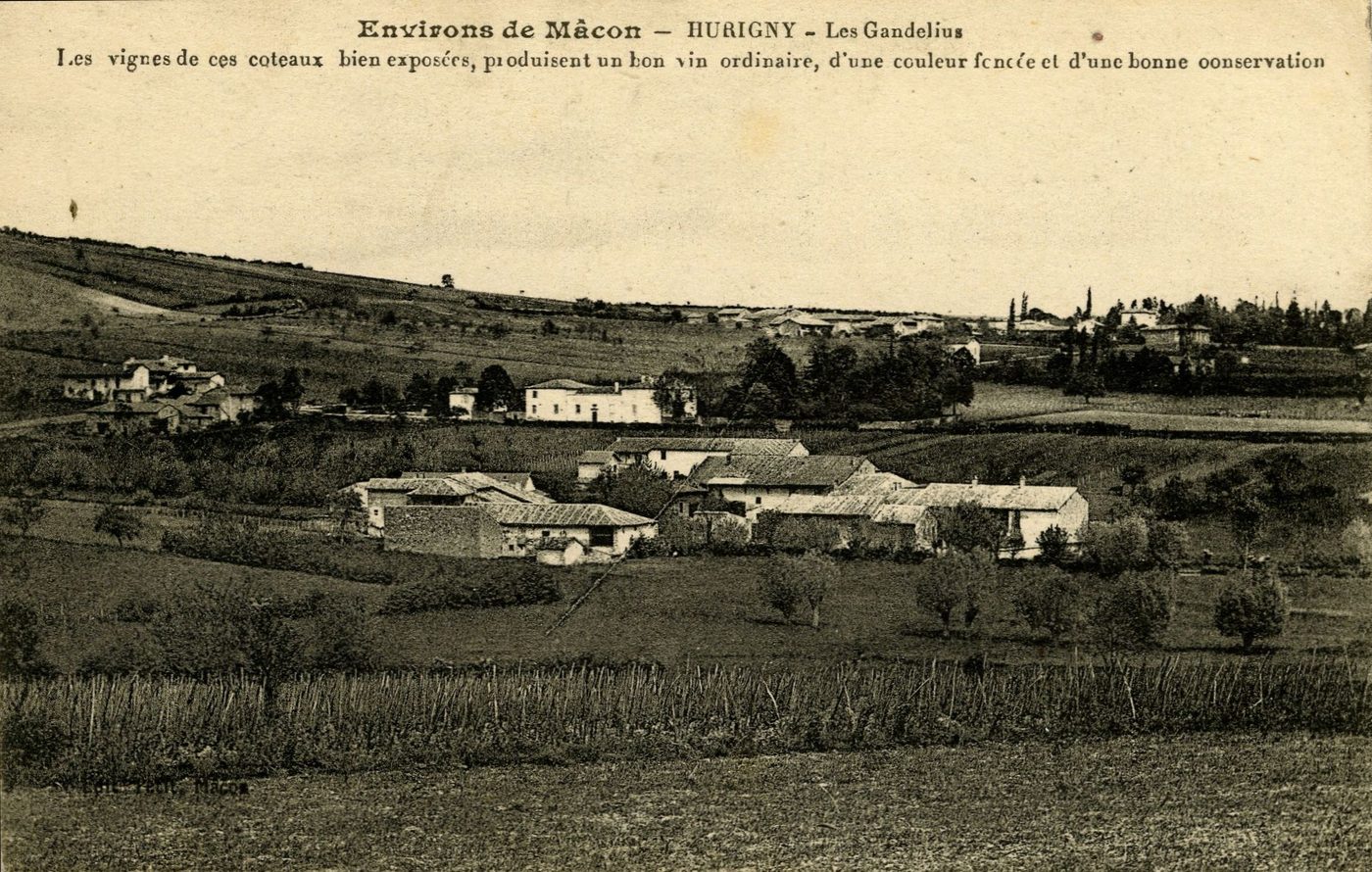 Environs de Mâcon. Hurigny. Les Gandelius. Les vignes de ces coteaux, bien exposées, produisent un bon vin ordinaire, d'une couleur foncée et d'une bonne conservation.