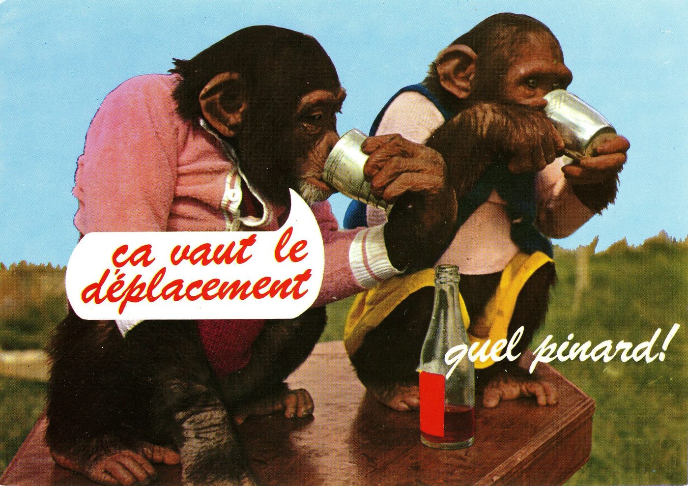 Animaux humoristiques. Sigy-le-Châtel. Jardin zoologique du Gué Gallet.