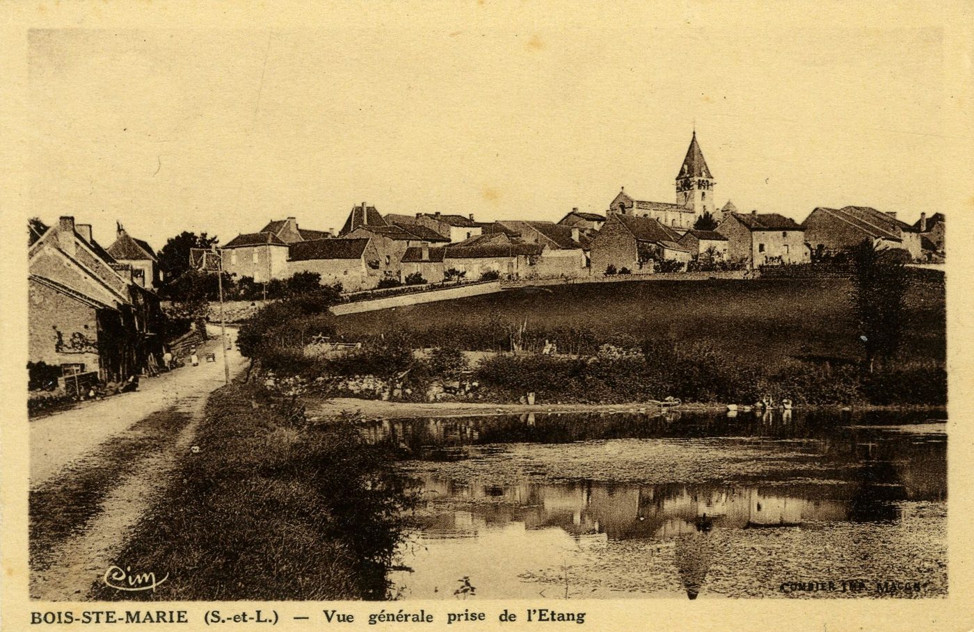Bois Sainte-Marie. Vue générale prise de l'étang.