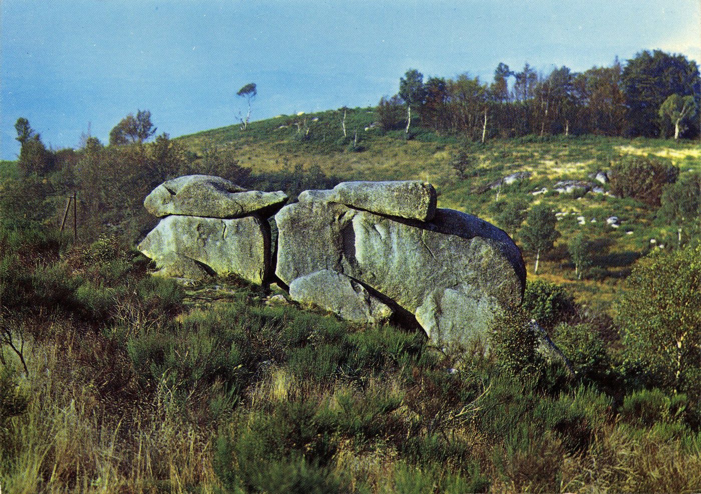 Les rochers d'Uchon. Le lapin.