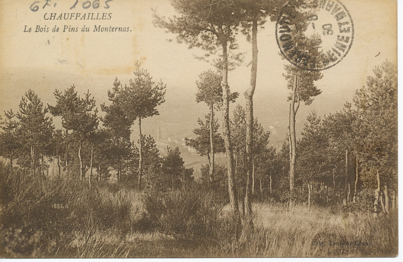 Chauffailles. Le bois de pins du Monternas.