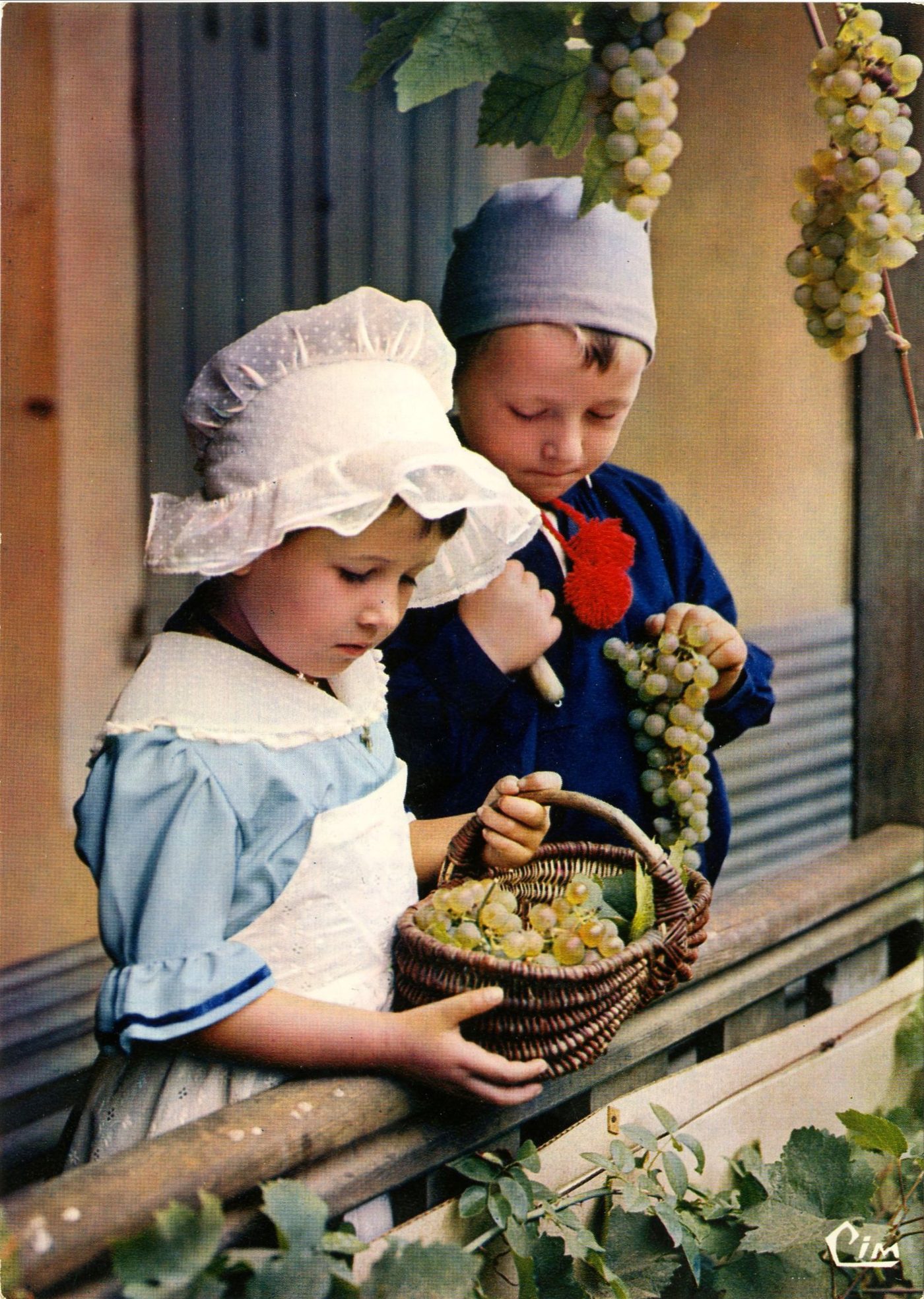 En Bourgogne. Comme ils sont beaux les raisins.