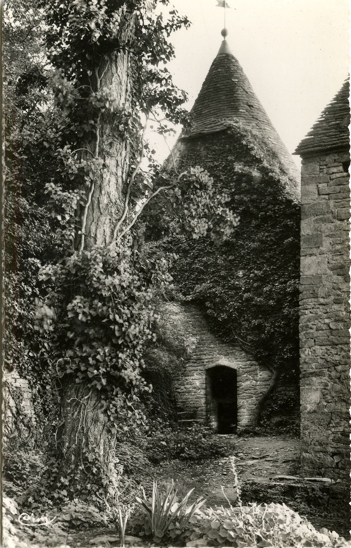Brancion, tour de la Chaul, tour flanquante construite dans la maçonnerie du chemin de ronde avec trois meurtrières orientées pour la défense, et permettant de tuer un homme à deux cents pas (environ deux cent mètres).