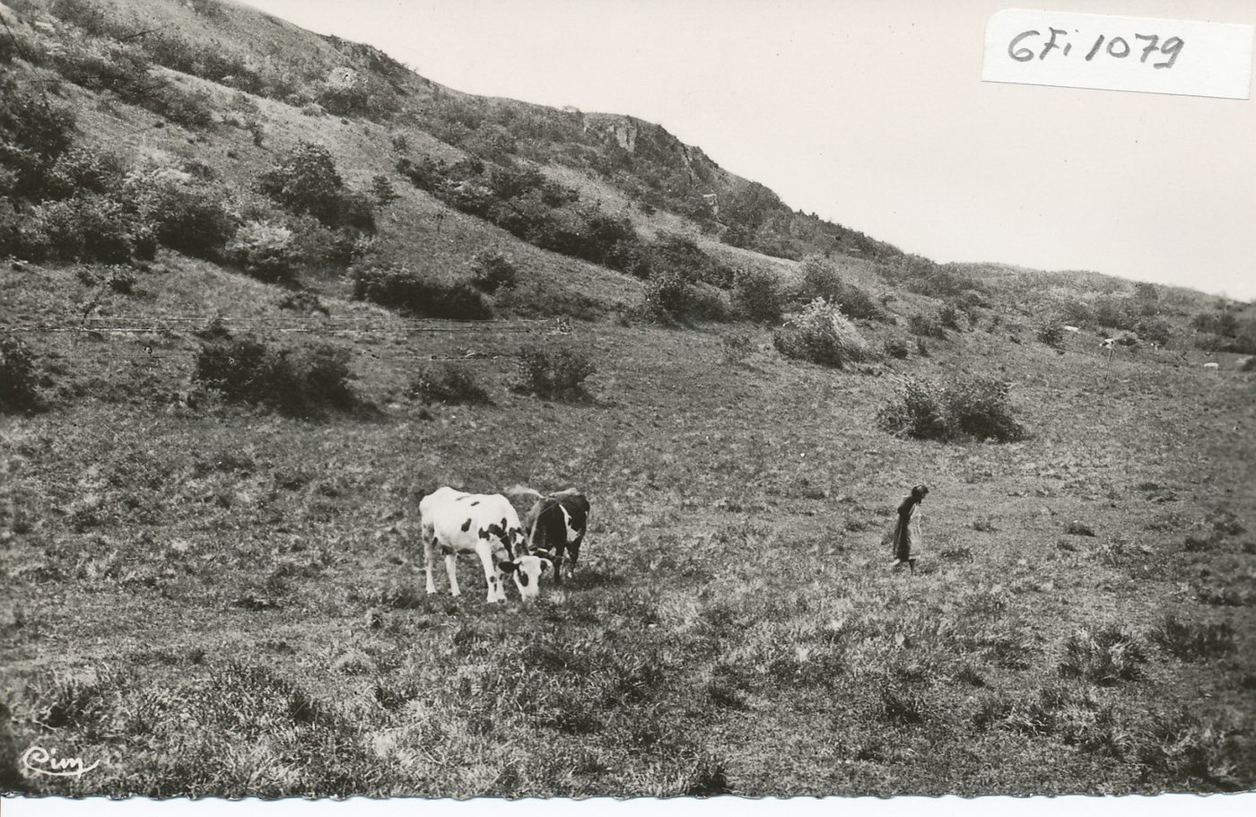 Cheilly-lès-Maranges. Le camp romain.