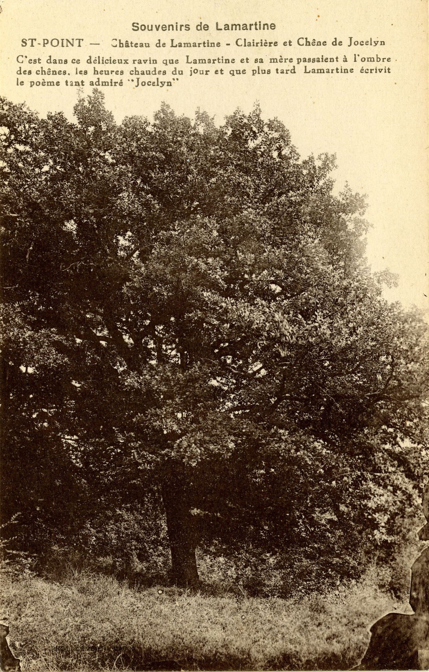 Souvenirs de Lamartine. Saint-Point, château de Lamartine, clairière et chêne de Jocelyn. C'est dans ce délicieux ravin que Lamartine et sa mère passait à l'ombre des chênes, les heures chaudes du jour et que plus tard Lamartine écrivit le poème tant admiré Jocelyn.